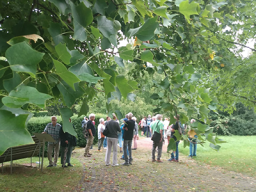 Wanderungen &raquo; Wanderungen2024 &raquo; Seniorenfahrt am 04.09.2024 nach Luxemburg Stadt